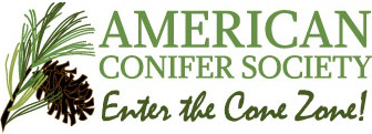 American Conifer Society