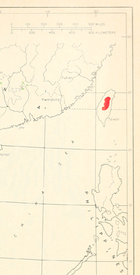 Pinus morrisonicola